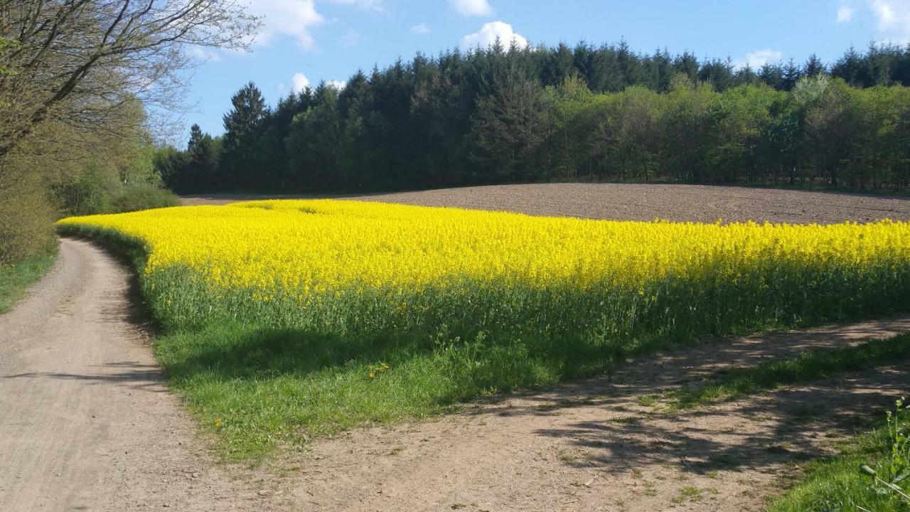 Ferienwohnung Auszeit Tholey Kültér fotó